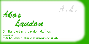 akos laudon business card